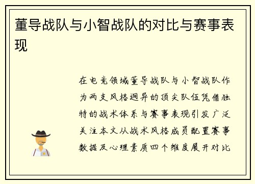 董导战队与小智战队的对比与赛事表现